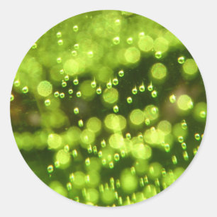 Adesivo Redondo Bolhas Verdes