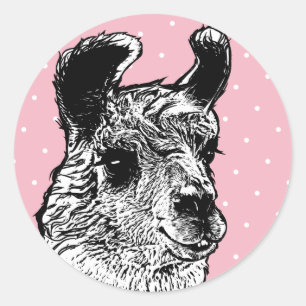 Adesivo Redondo Bolinhas pretas & brancas na moda do branco do