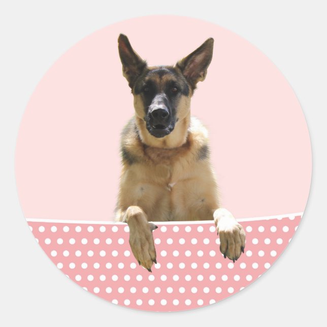 Adesivo Redondo Bolinhas Rosa german shepherd (Frente)