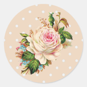 Adesivo Redondo Bolinhas Rosa Vintage rosa