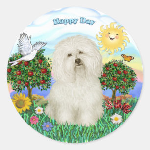 Adesivo Redondo Bolonha #2