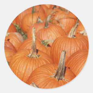 ADESIVO REDONDO BOMBAS!