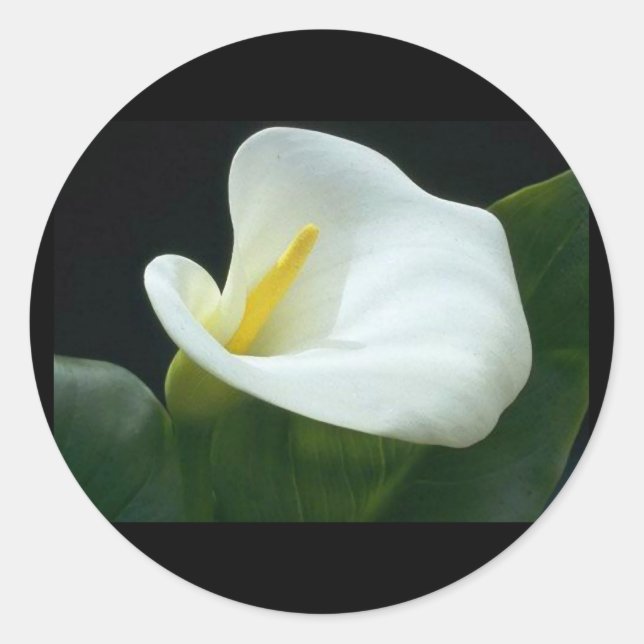 ADESIVO REDONDO BONITA LETRA LIVRE/PRESENTE ROUND STICKER (Frente)