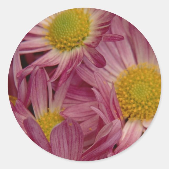 Adesivo Redondo Bonito a rosa: selos de envelopes (Frente)