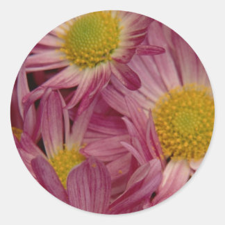 Adesivo Redondo Bonito a rosa: selos de envelopes