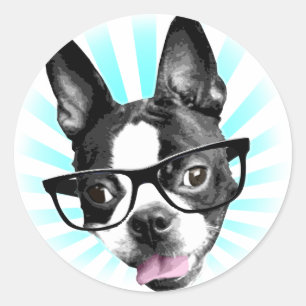 Adesivo Redondo Bonito! Hipster Boston Terrier