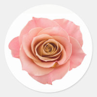 Bonito Pêssego Cor-de-Rosa Fotográfico Rosa