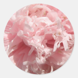 Adesivo Redondo Bonito Pink-Pope-Stickers