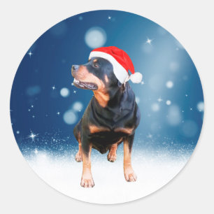 Adesivo Redondo Bonito Rottweiler Cachorro Natal Santa Hat Estrela