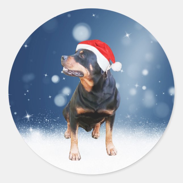 Adesivo Redondo Bonito Rottweiler Cachorro Natal Santa Hat Estrela (Frente)