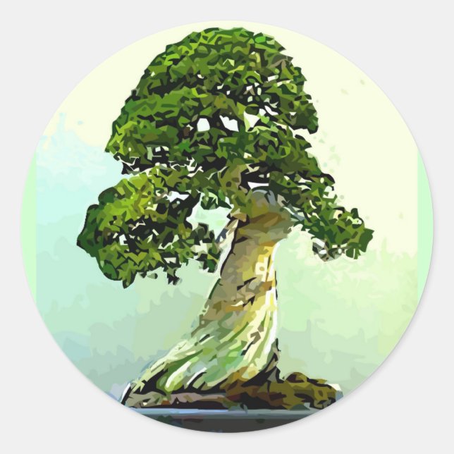Adesivo Redondo Bonsai Cypress Tree (Frente)