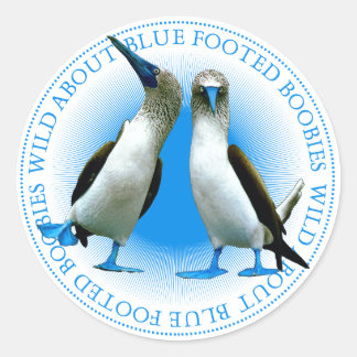 Adesivo Redondo Boobies de pés azuis