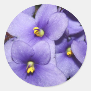 Adesivo Redondo Boquet violeta