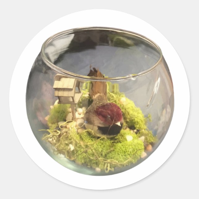 Adesivo Redondo borb planetarium (Frente)