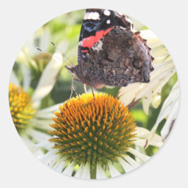 Adesivo Redondo Borboleta Almirante na Flor