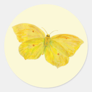 Adesivo Redondo Borboleta amarela Brilho comum