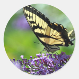 Adesivo Redondo Borboleta amarela e preta na Lavanda