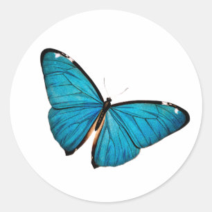 Adesivo Redondo Borboleta Azul