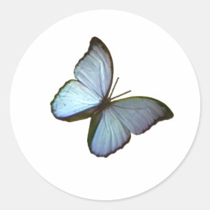 Adesivo Redondo Borboleta Azul 45° Freiburg Alemanha jGibney