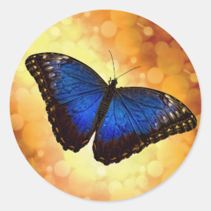 Adesivo Redondo Borboleta azul de Morpho