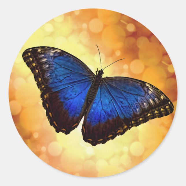 Adesivo Redondo Borboleta Azul Morpho (Frente)