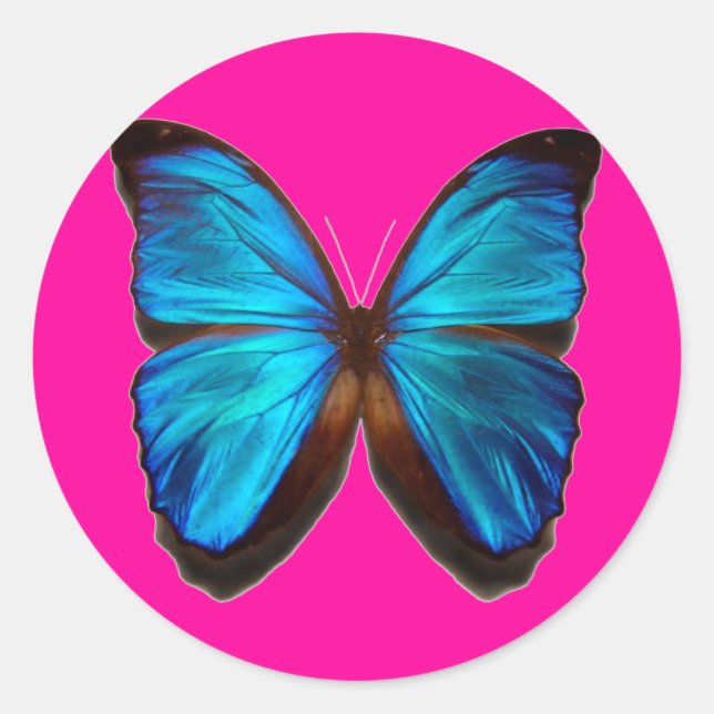 Adesivo Redondo Borboleta Azul Morpho (Frente)