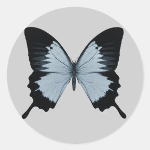 Adesivo Redondo Borboleta azul & preta grande