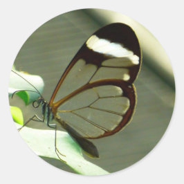 Adesivo Redondo Borboleta-branca-castanha e borboleta-branca-trans