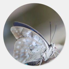 Adesivo Redondo Borboleta Cinza azul