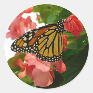 Adesivo Redondo Borboleta com Flores Vermelhas