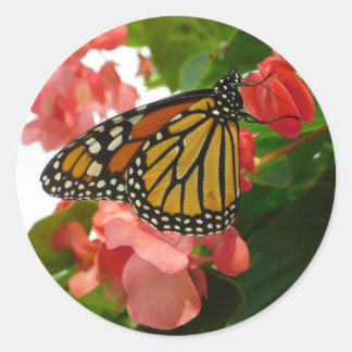 Adesivo Redondo Borboleta com Flores Vermelhas