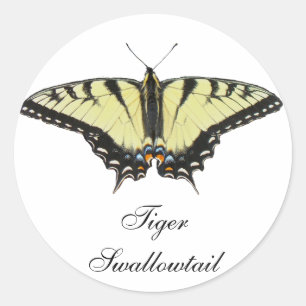 Adesivo Redondo Borboleta de Swallowtail do tigre