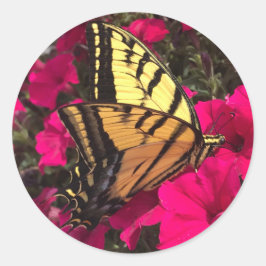 Adesivo Redondo Borboleta em flores de petúnia rosa na primavera