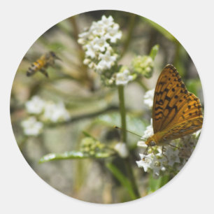 Adesivo Redondo Borboleta Laranja e Abelha