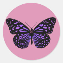 Borboleta Manchada de Roxo