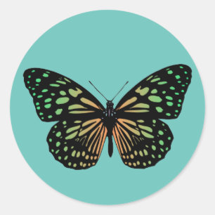 Adesivo Redondo Borboleta Manchada Laranja e Verde