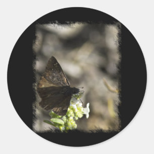 Adesivo Redondo Borboleta Marrom