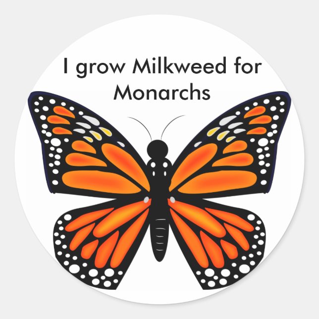 Adesivo Redondo Borboleta Monarca (Frente)