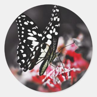 Adesivo Redondo Borboleta na Flor Vermelha