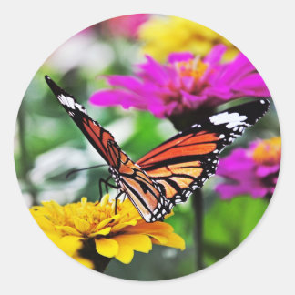 Adesivo Redondo Borboleta nas Flores #2