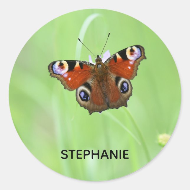 Adesivo Redondo Borboleta-pavão (Frente)