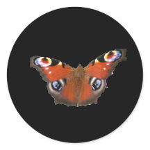 Borboleta Peacock Por KABFA