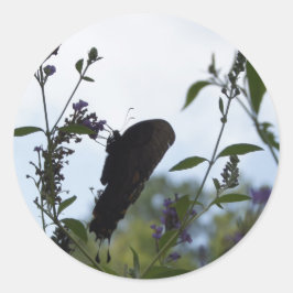 Adesivo Redondo Borboleta Silhouette
