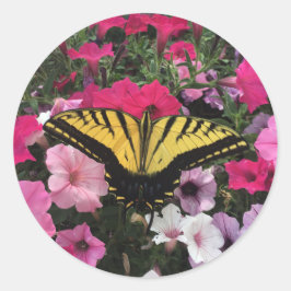 Adesivo Redondo Borboleta sobre flores de petúnia rosa na primaver