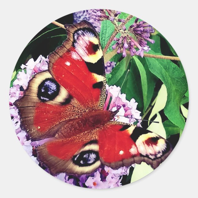 Adesivo Redondo Borboleta vermelha (Frente)