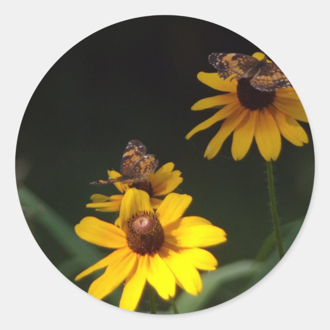 Adesivo Redondo Borboletas e flores selvagens (Frente)