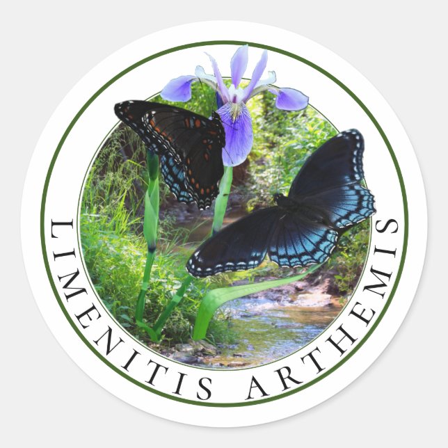 Adesivo Redondo Borboletas Roxas Vermelhas e Bandeira Azul Iris (Frente)