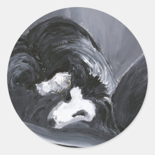 Adesivo Redondo Borda Collie Descendo Pintura