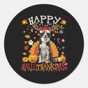 Adesivo Redondo Borda Collie Halloween Cachorro Feliz