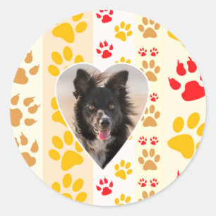 Adesivo Redondo Borda Collie Paw Print Love Heart